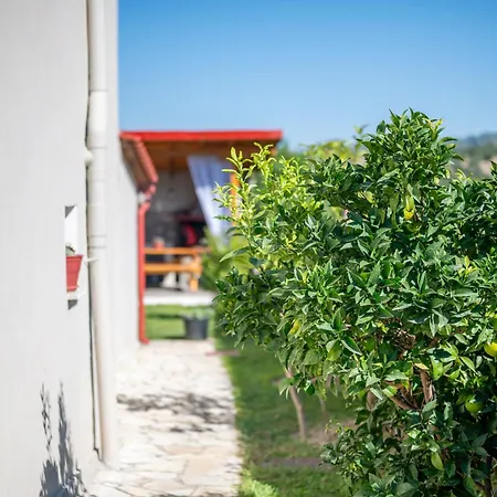 Marina Σπίτι διακοπών