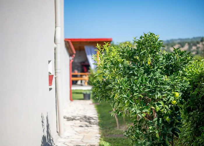 Marina Сasa de vacaciones